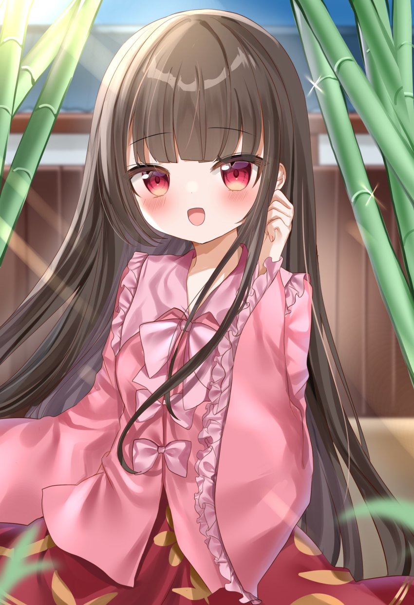 Houraisan Kaguya (Touhou) Rule 34 Image