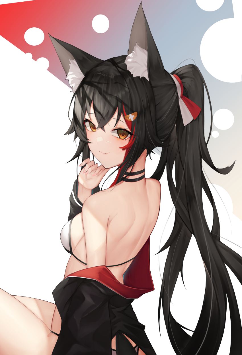 Ookami Mio (Hololive) Rule 34 Image