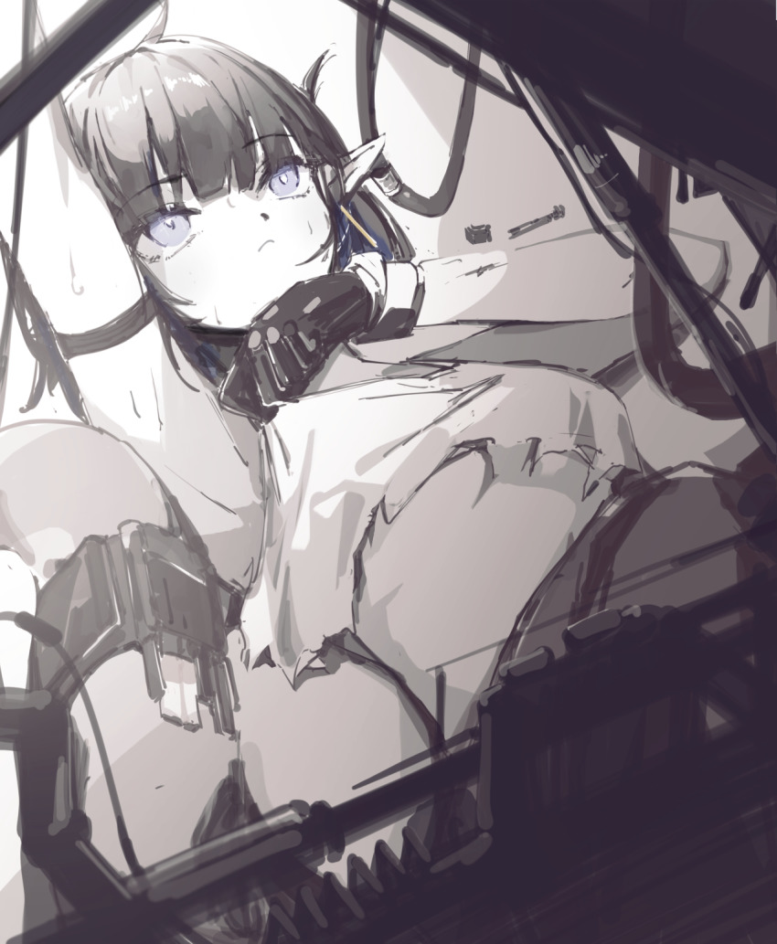 Eunectes (Arknights) Rule 34 Image