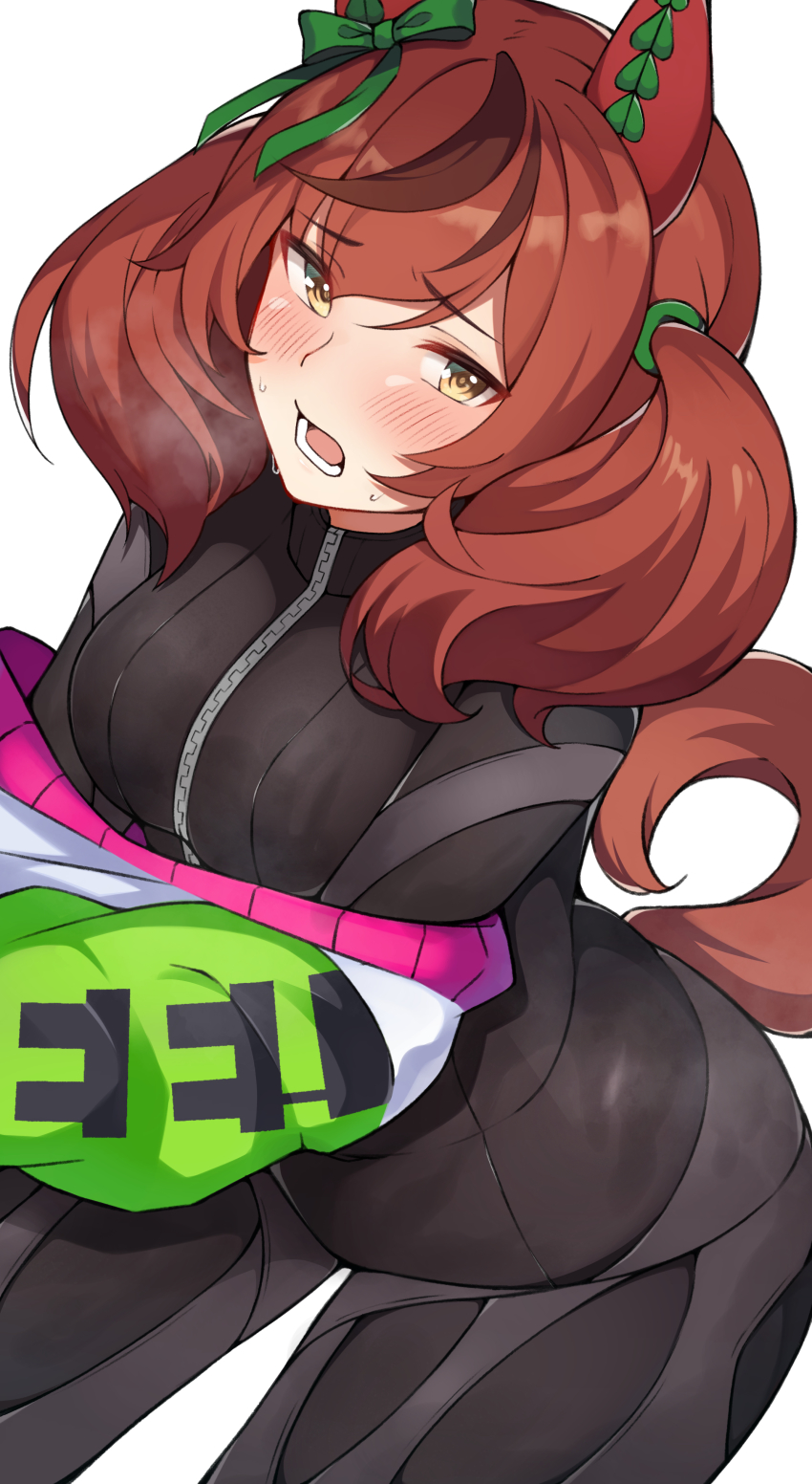 Nice Nature (Umamusume) Rule 34 Image