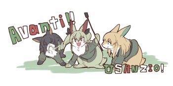 Anchovy (Girls Und Panzer) Rule 34 Image