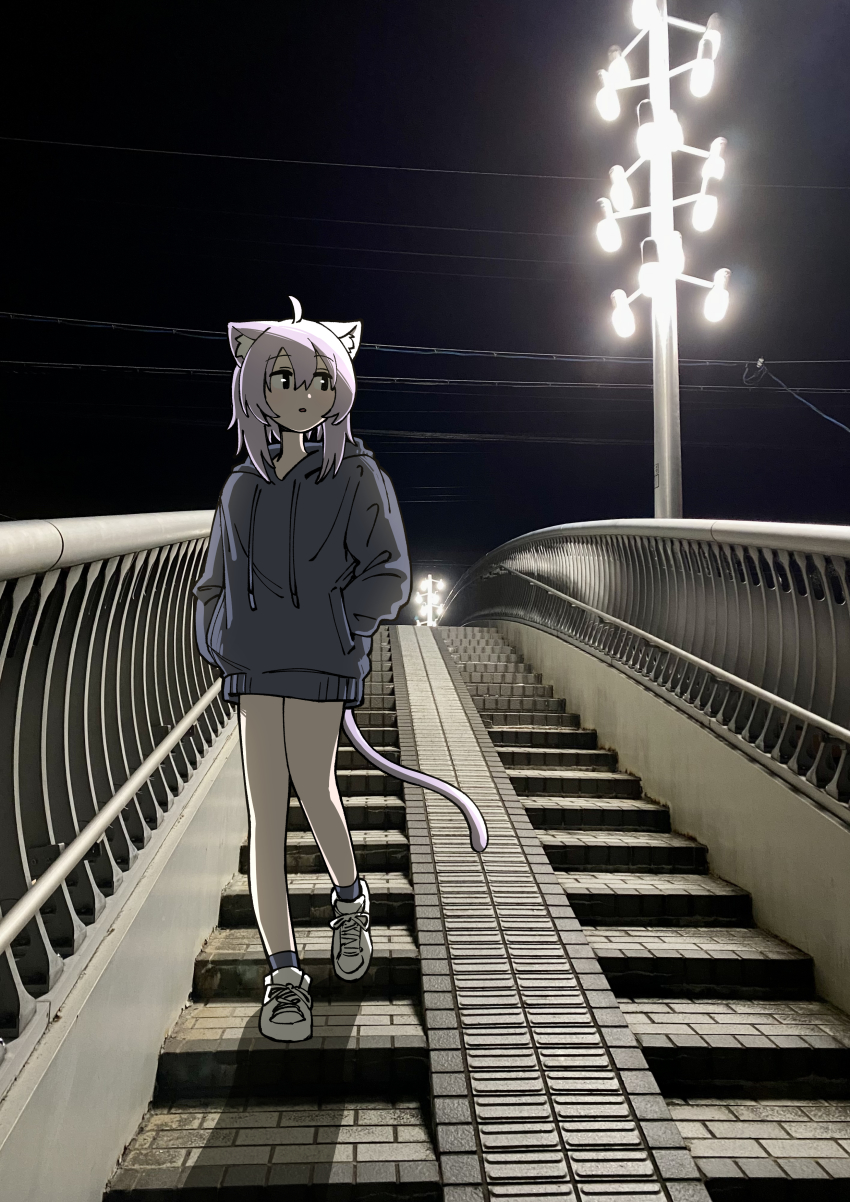 Nekomata Okayu (Hololive) Rule 34 Image