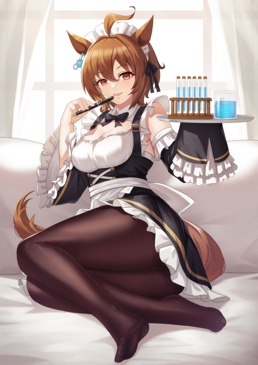 Agnes Tachyon (Umamusume) Rule 34 Image