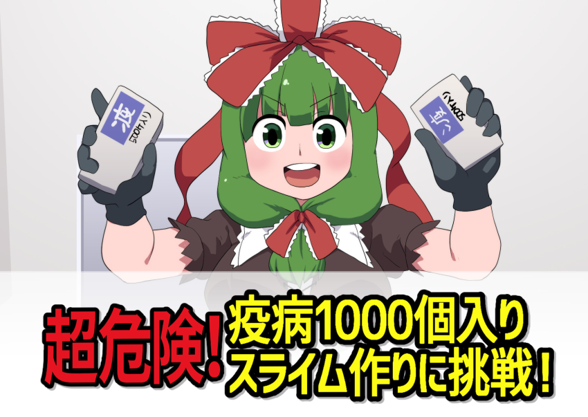Kagiyama Hina (Touhou) Rule 34 Image