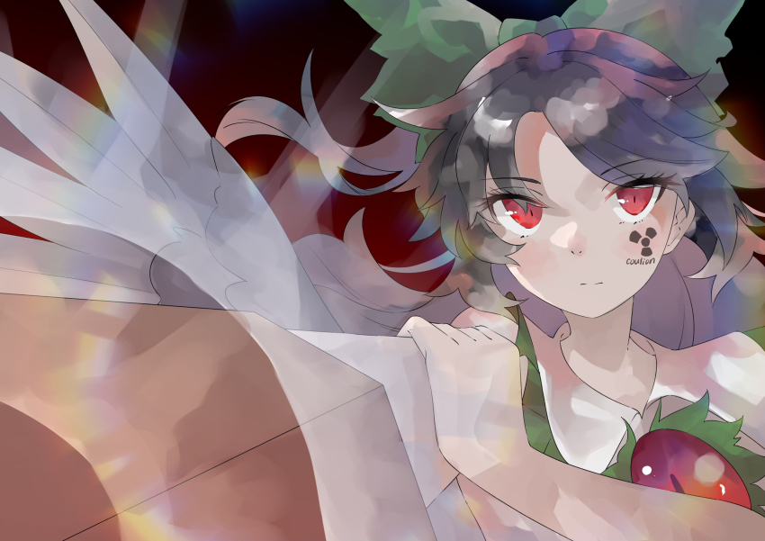 Reiuji Utsuho (Touhou) Rule 34 Image