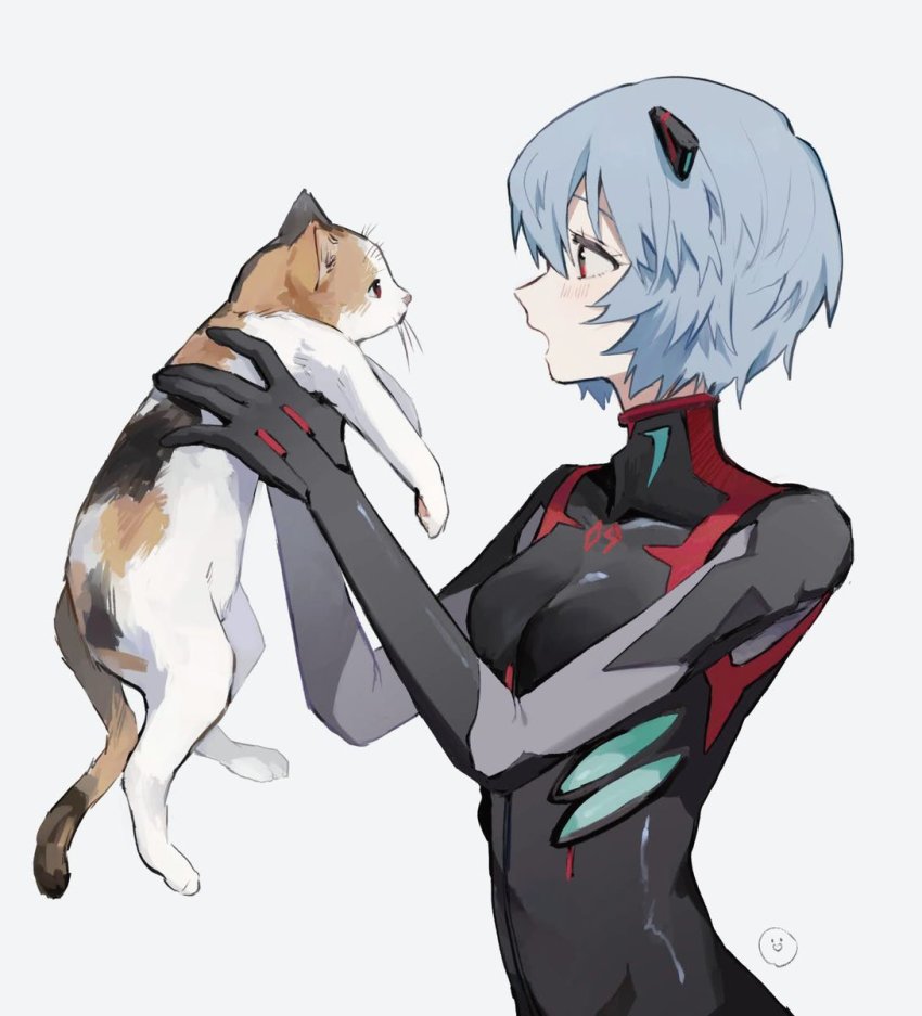 Ayanami Rei (Neon Genesis Evangelion) Rule 34 Image