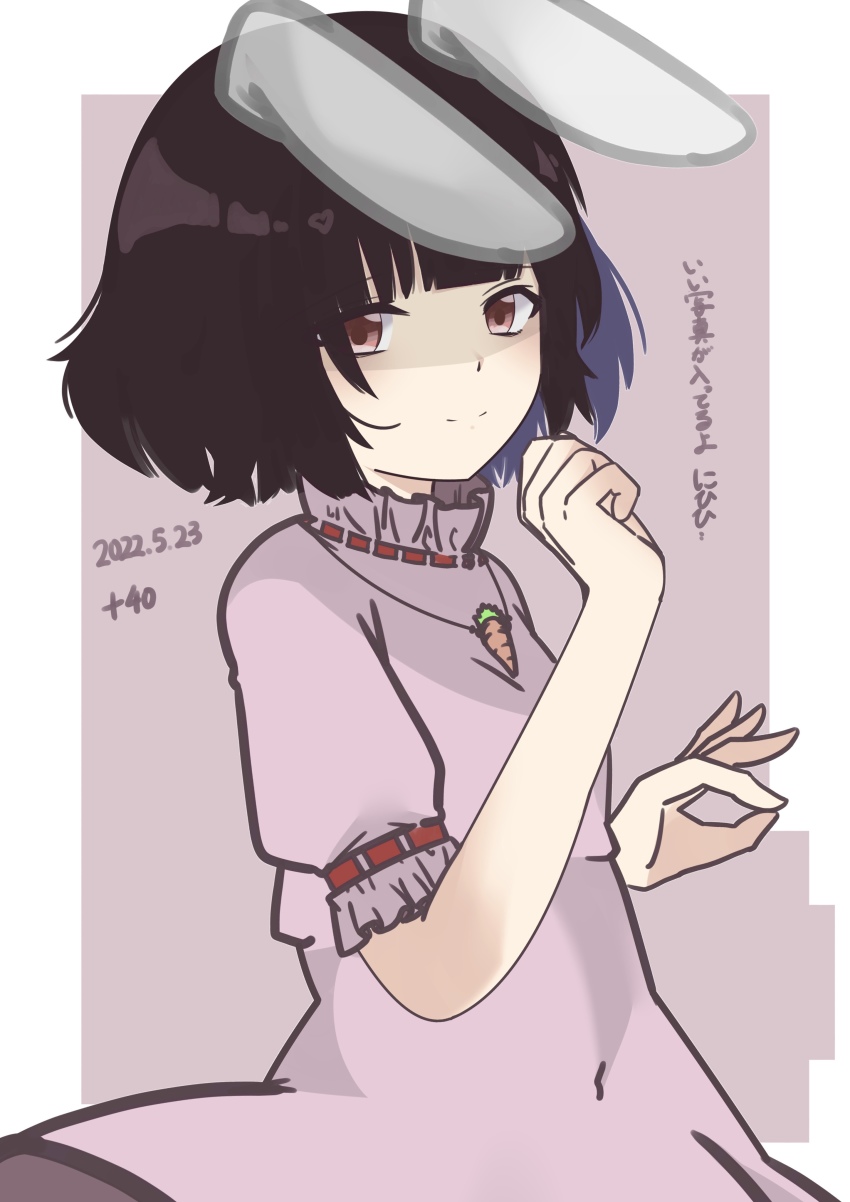 Inaba Tewi (Touhou) Rule 34 Image