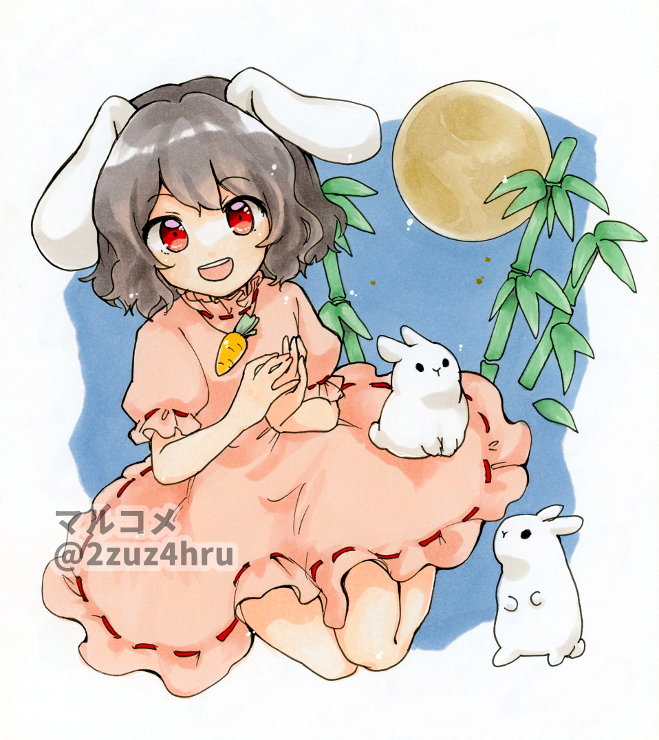 Inaba Tewi (Touhou) Rule 34 Image