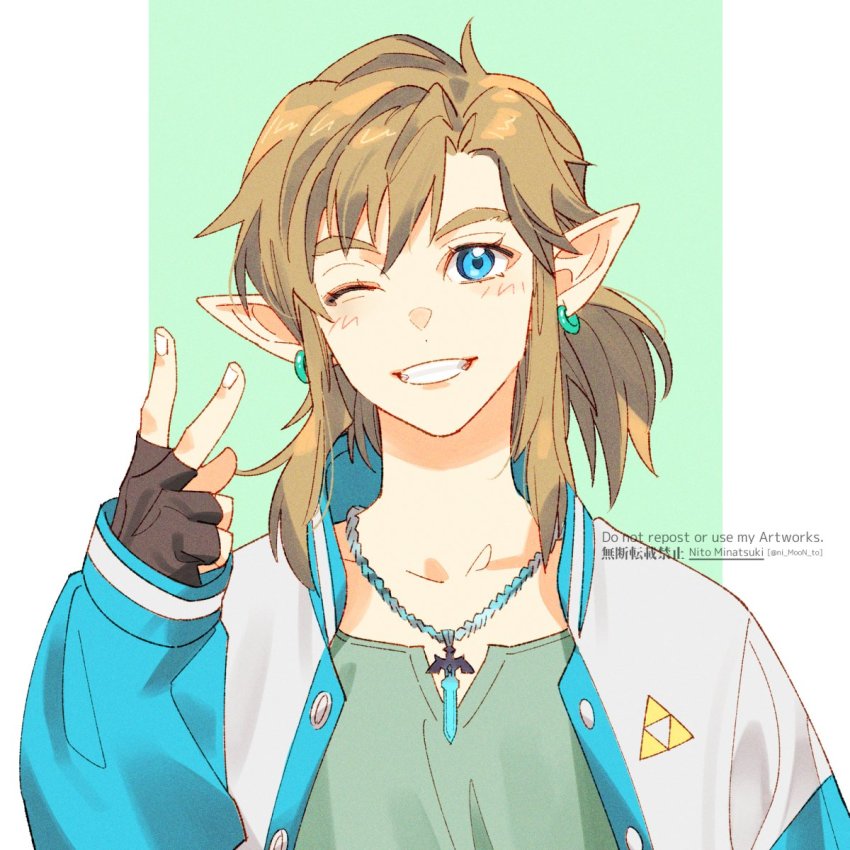 Link (Nintendo) Rule 34 Image