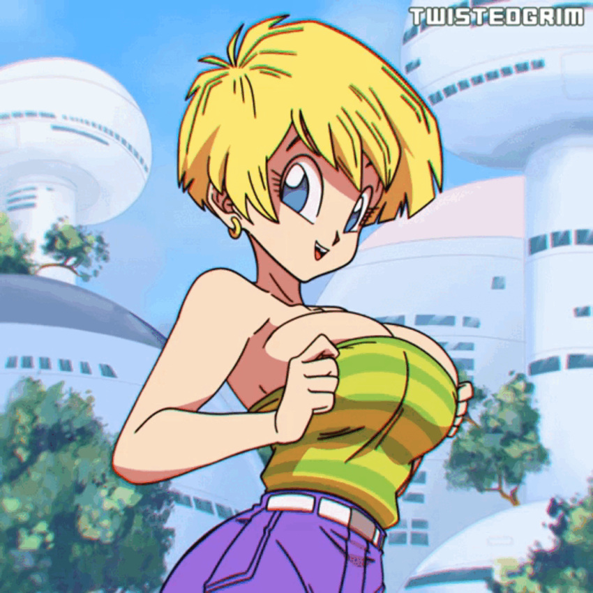 Erasa (Dragon Ball) Rule 34 Image