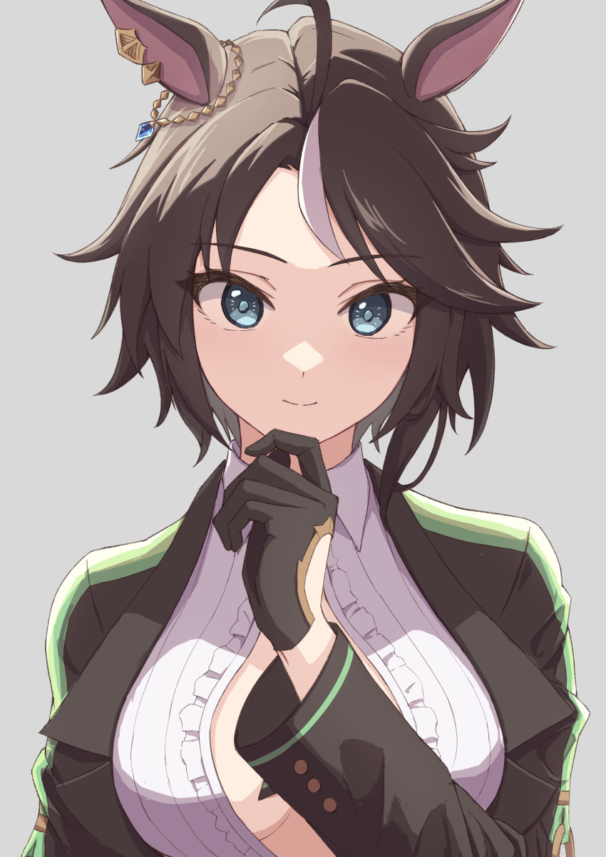 Fuji Kiseki (Shooting Star Revue) (Umamusume) Rule 34 Image