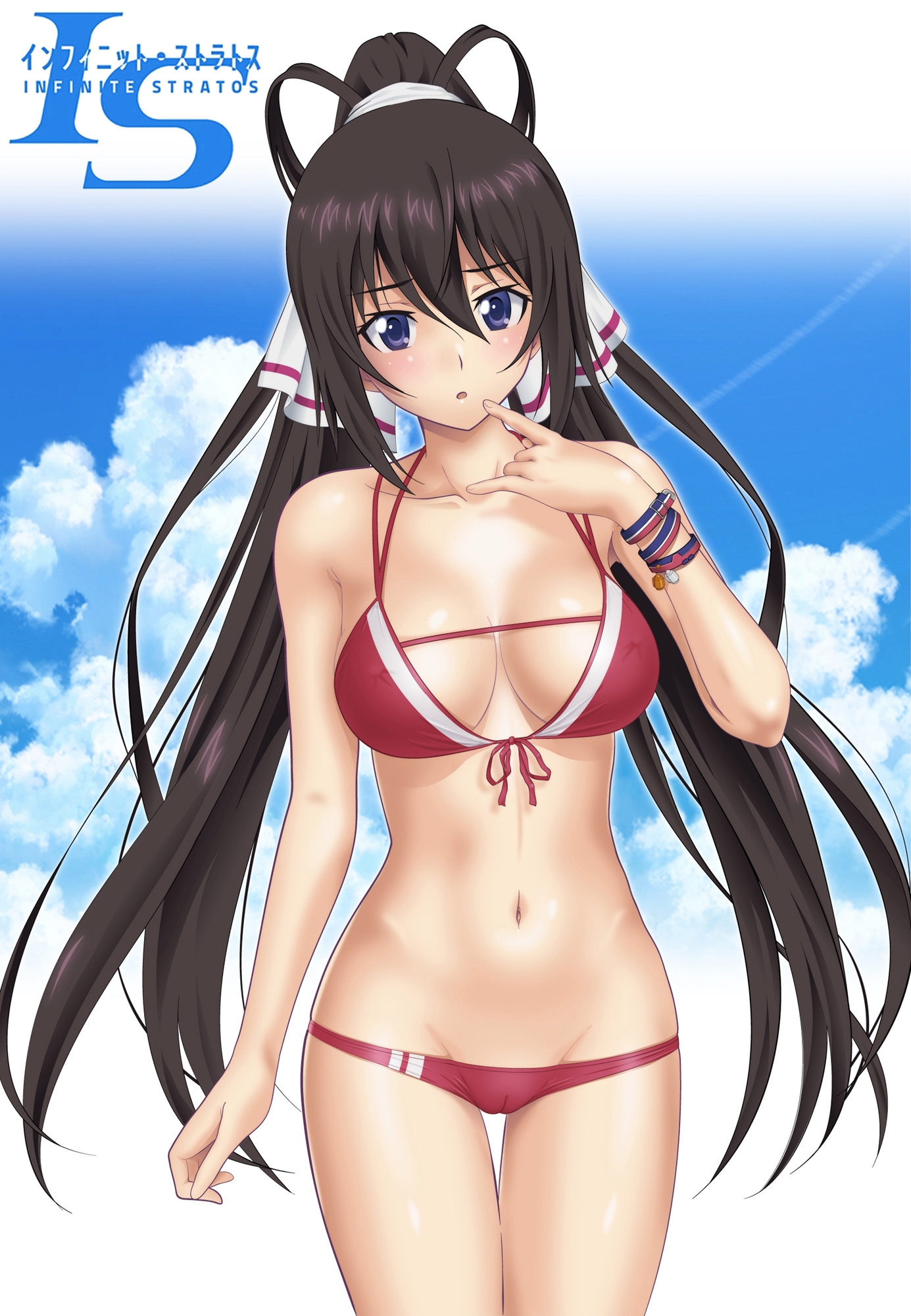 Shinonono Houki (Infinite Stratos) Rule 34 Image
