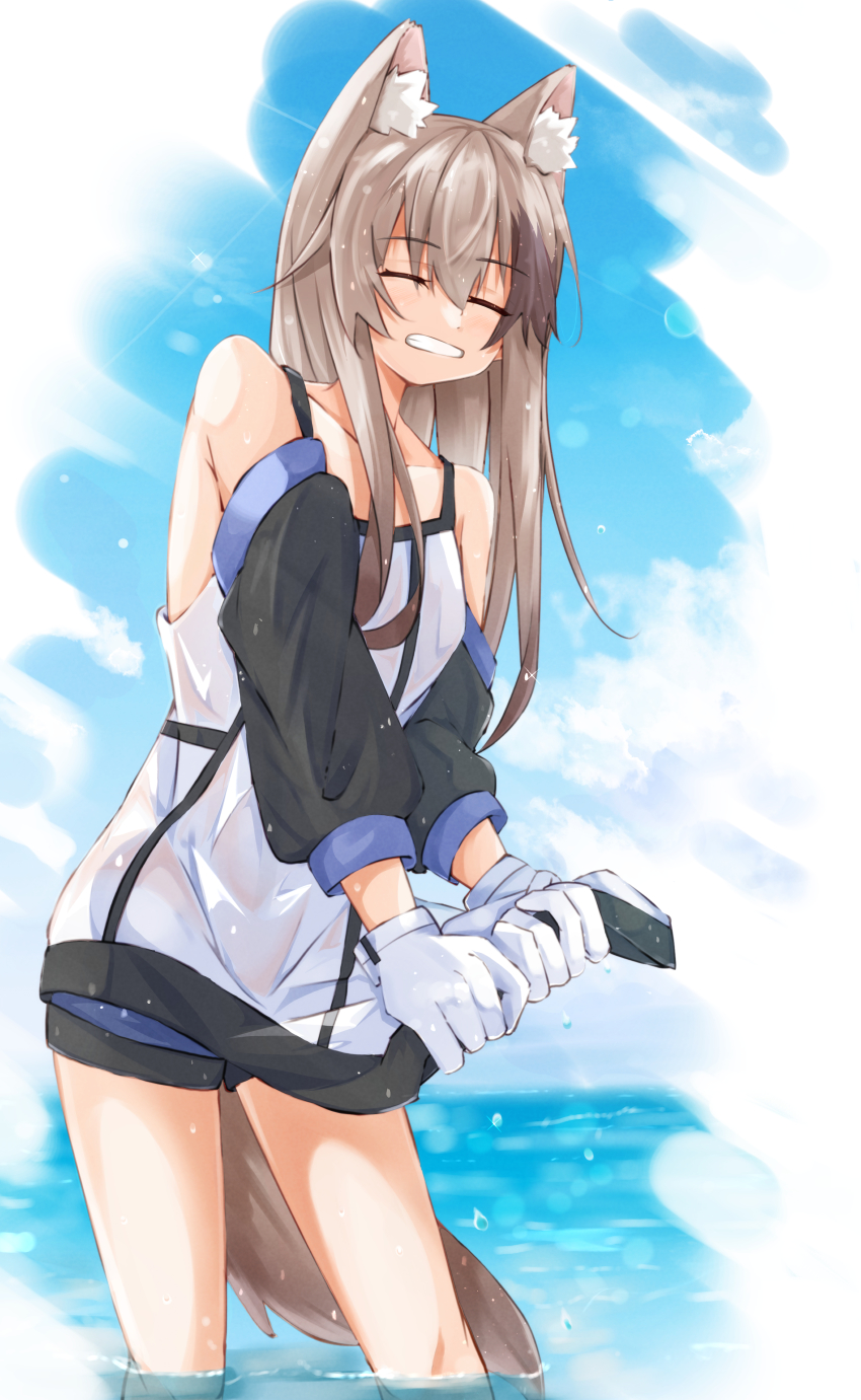 Cardigan (Arknights) Rule 34 Image
