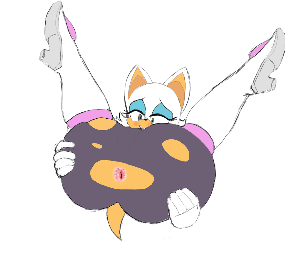 Rouge The Bat (Sega) Rule 34 Image