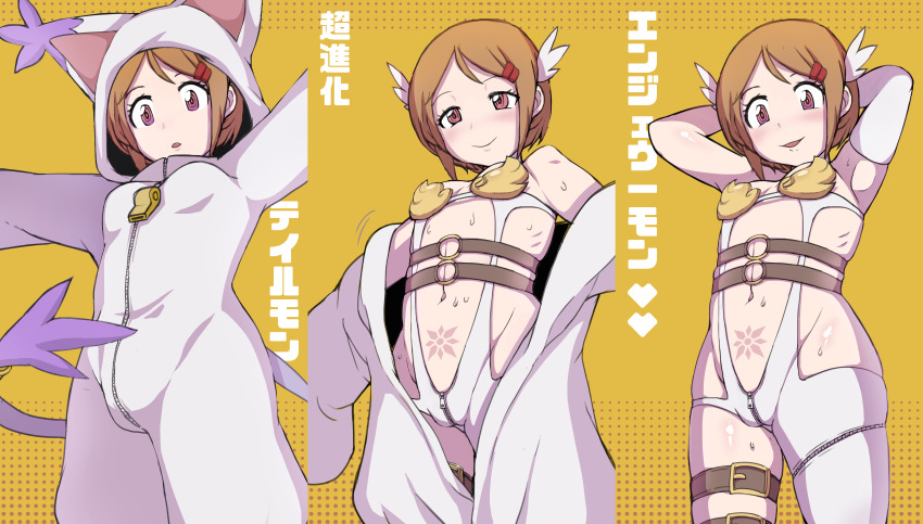 Angewomon (Digimon) Rule 34 Image