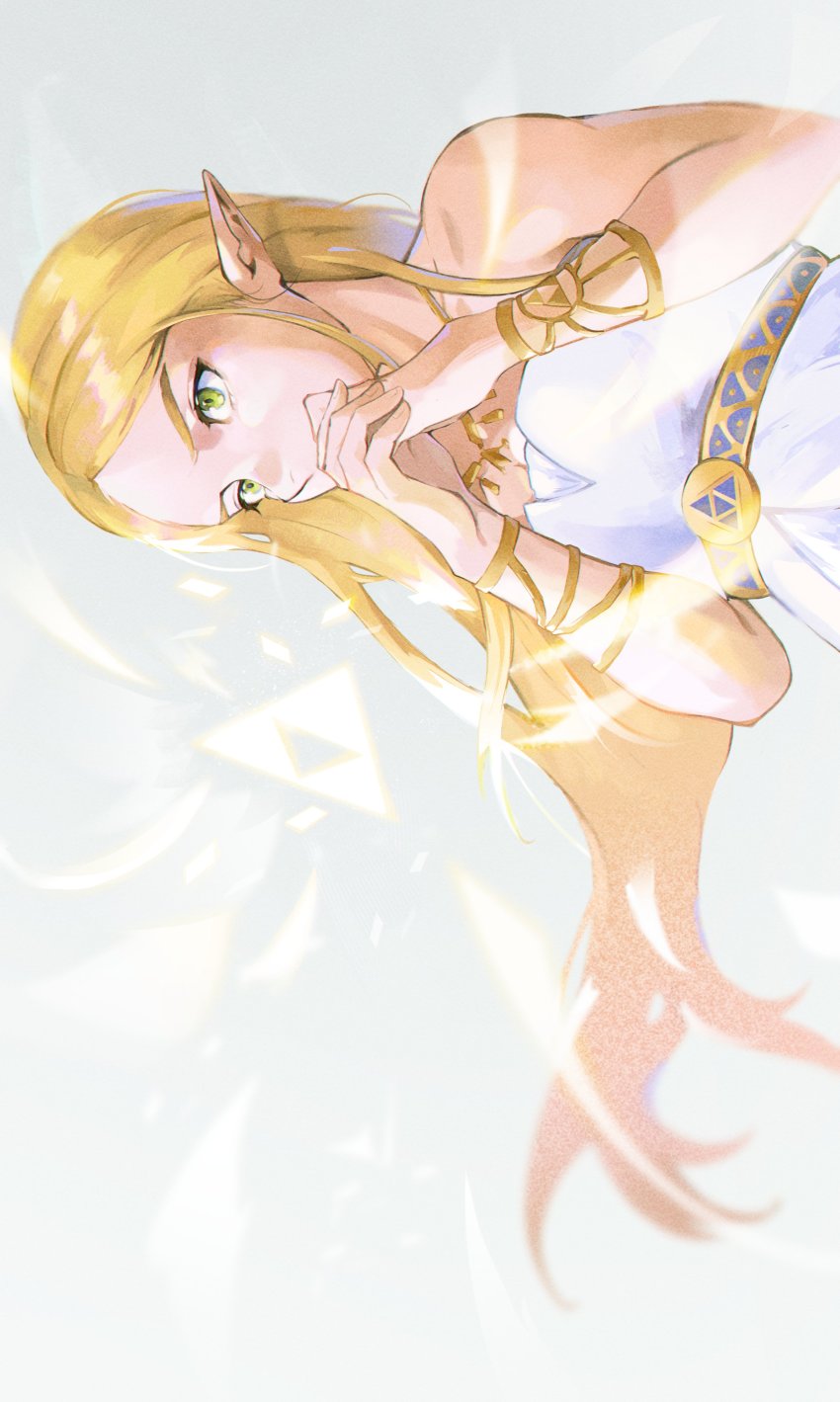 Princess Zelda (Nintendo) Rule 34 Image