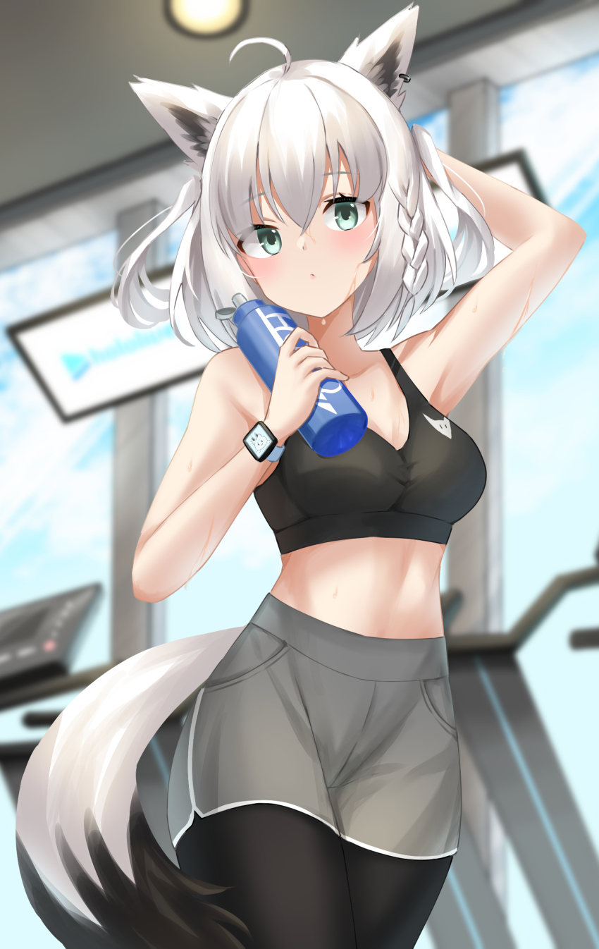 Shirakami Fubuki (Hololive) Rule 34 Image