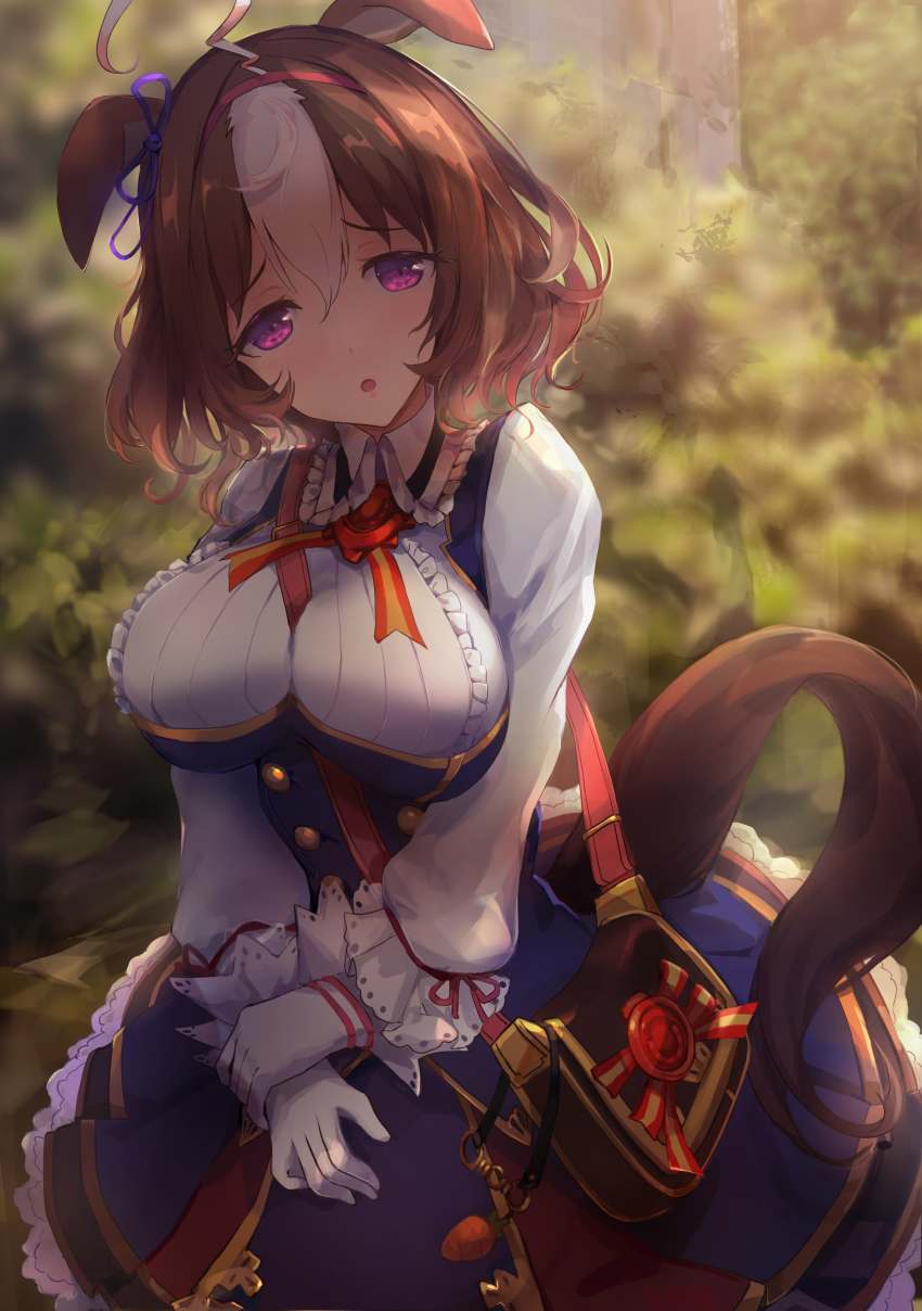 Meisho Doto (Umamusume) Rule 34 Image