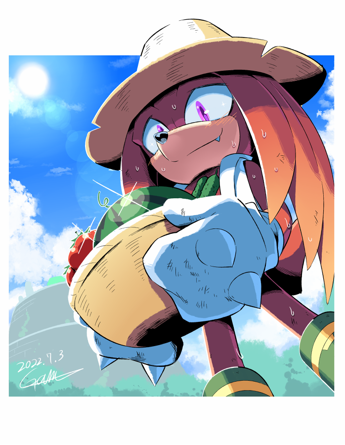 Knuckles The Echidna (Sonic (Series)) Rule 34 Image