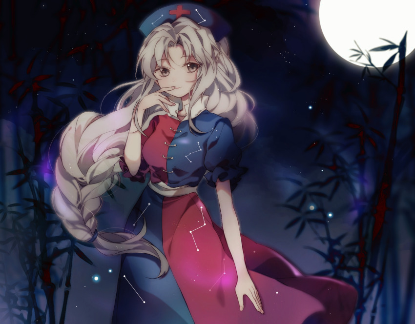 Yagokoro Eirin (Touhou) Rule 34 Image
