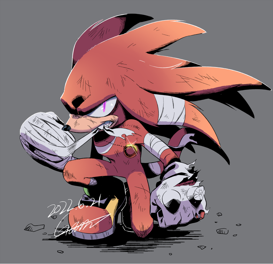 Knuckles The Echidna (Sonic (Series)) Rule 34 Image