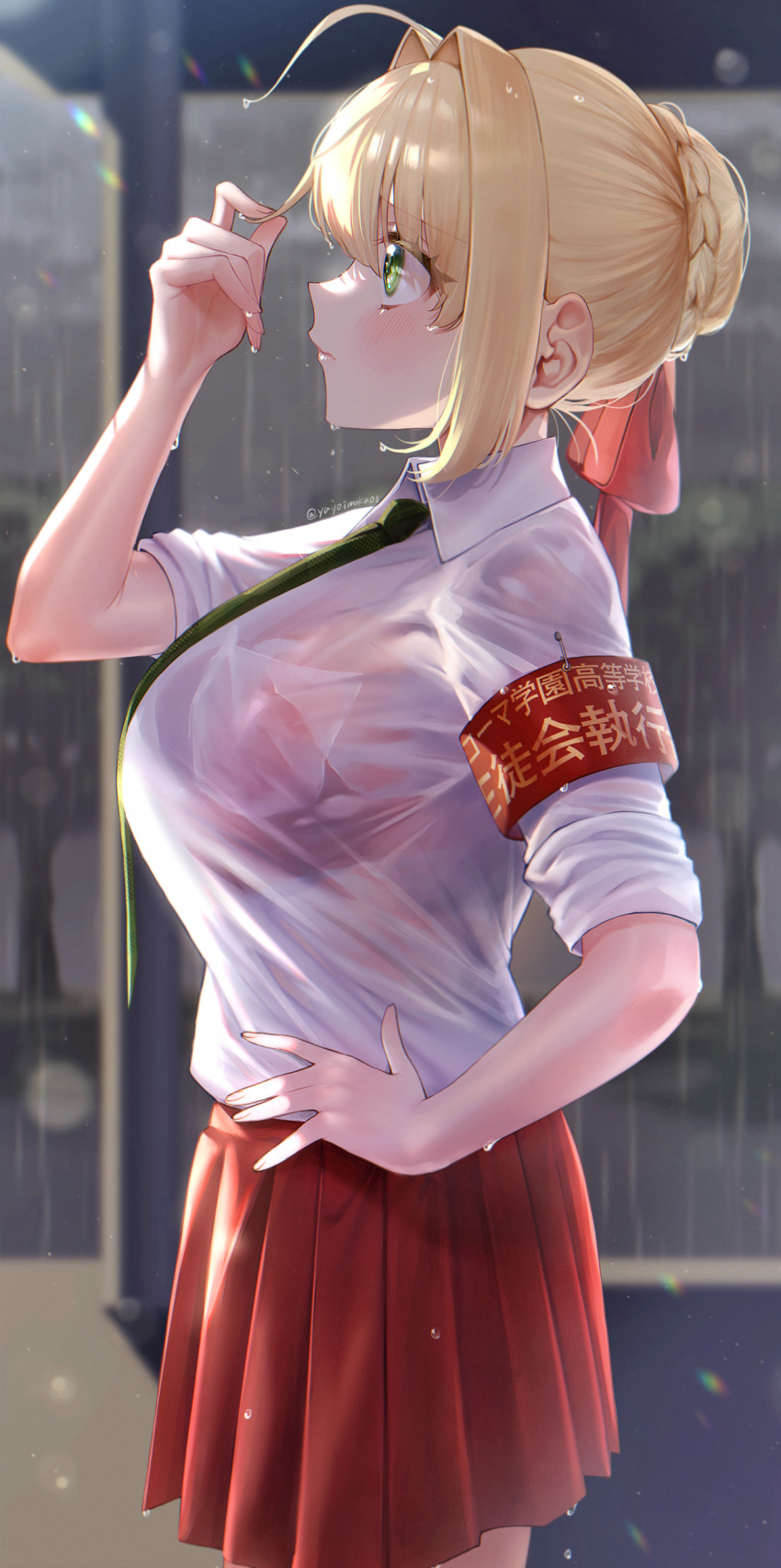 Nero Claudius (Fate) Rule 34 Image
