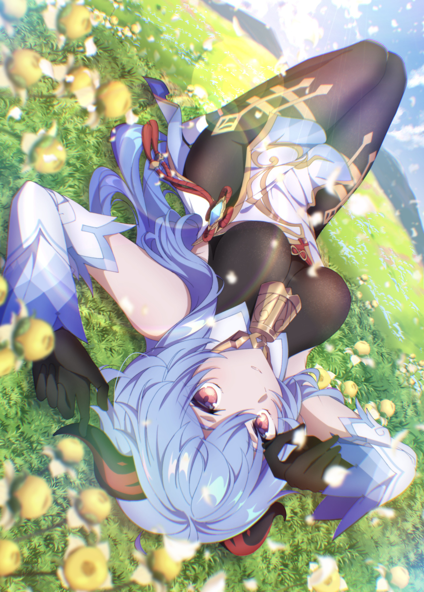Ganyu (Genshin Impact) Rule 34 Image