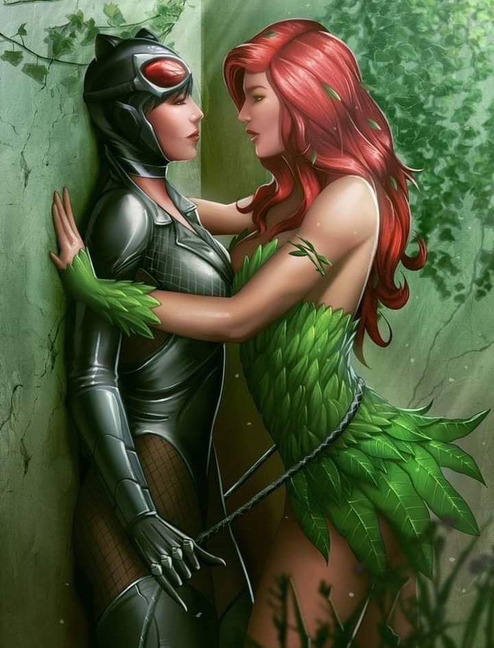 Catwoman (Batman (Series)) Rule 34 Image