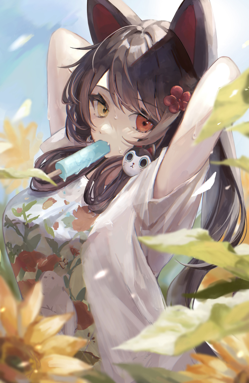 Inui Toko (Nijisanji) Rule 34 Image