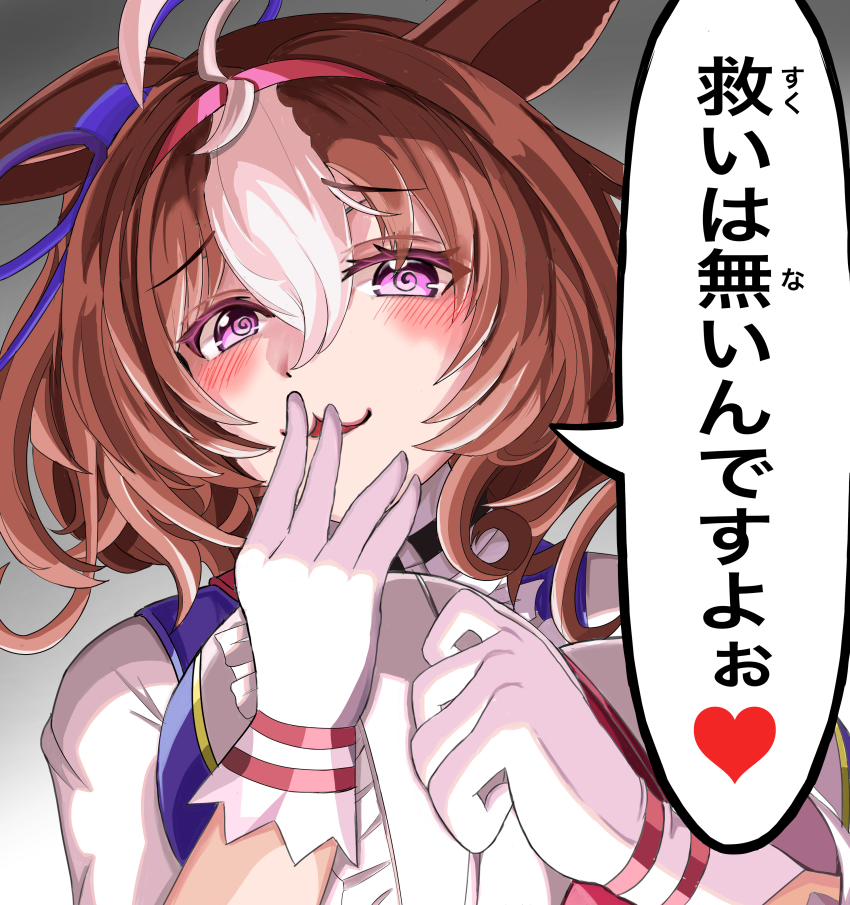 Meisho Doto (Umamusume) Rule 34 Image