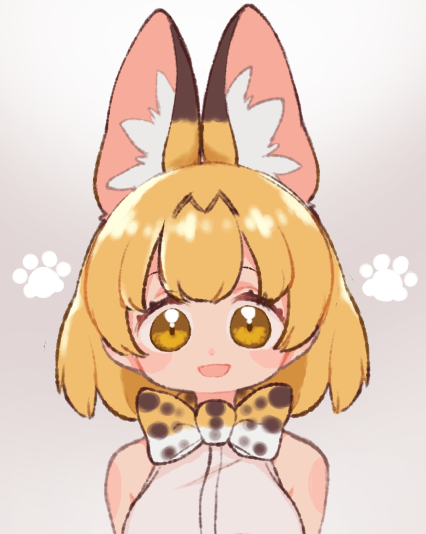 Serval (Kemono Friends) Rule 34 Image