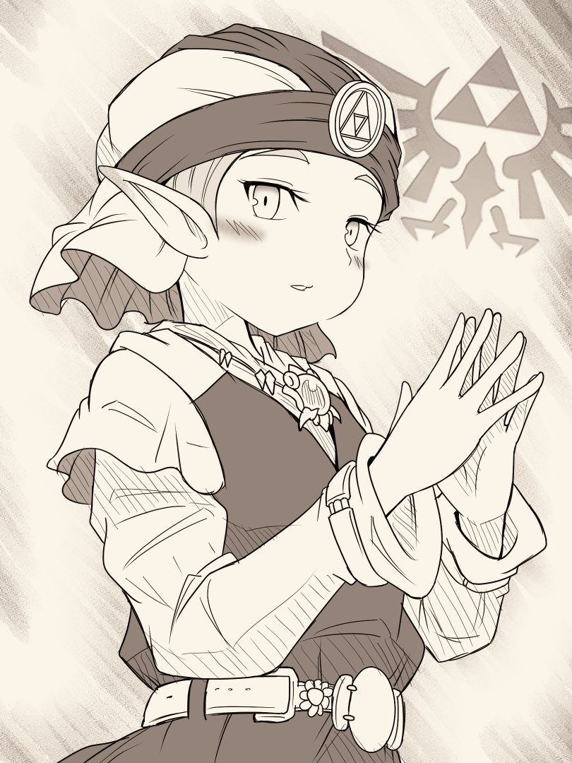 Princess Zelda (Nintendo) Rule 34 Image