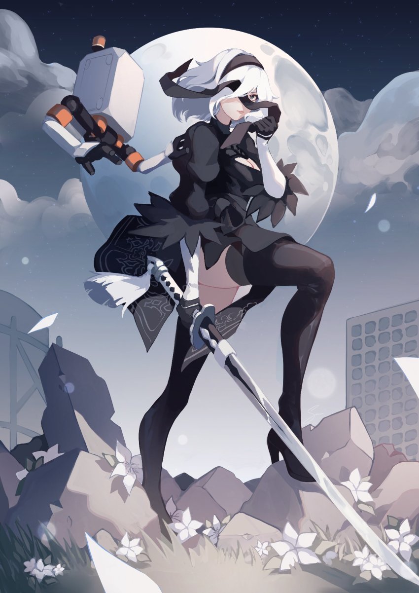 2b (Nier:Automata) Rule 34 Image