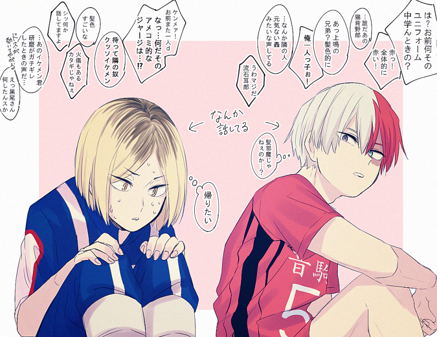 Todoroki Shoto (Boku No Hero Academia) Rule 34 Image