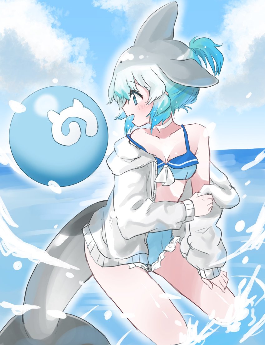 Common Bottlenose Dolphin (Kemono Friends) Rule 34 Image