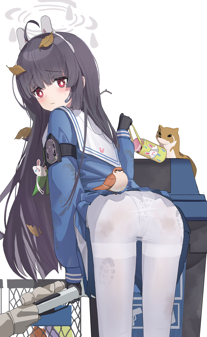 Miyu (Blue Archive) Rule 34 Image