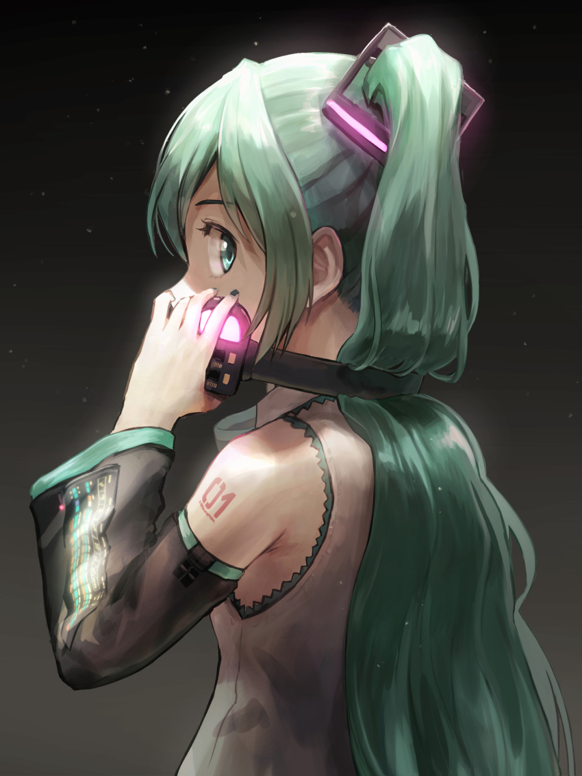 Hatsune Miku (Vocaloid) Rule 34 Image