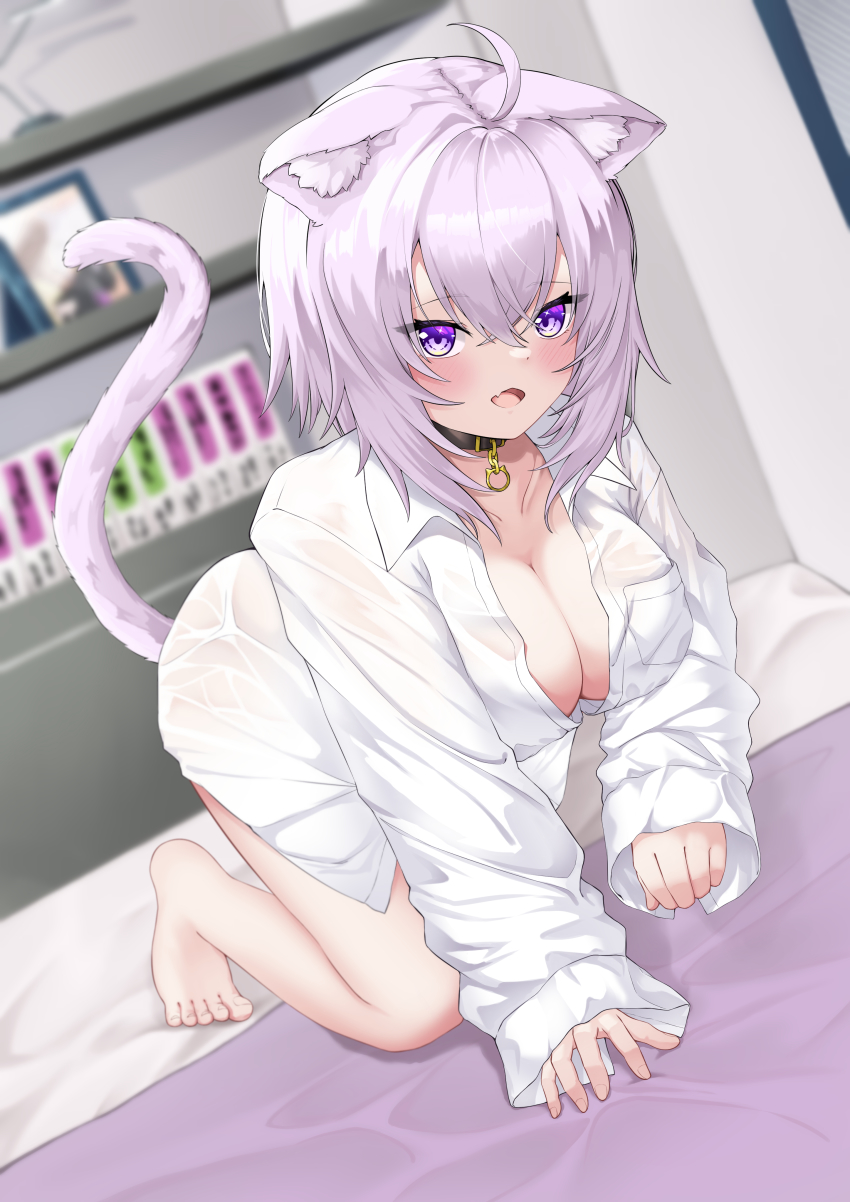 Nekomata Okayu (Hololive) Rule 34 Image
