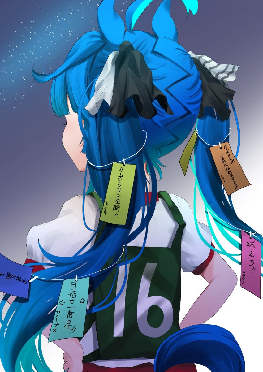 Twin Turbo (Umamusume) Rule 34 Image