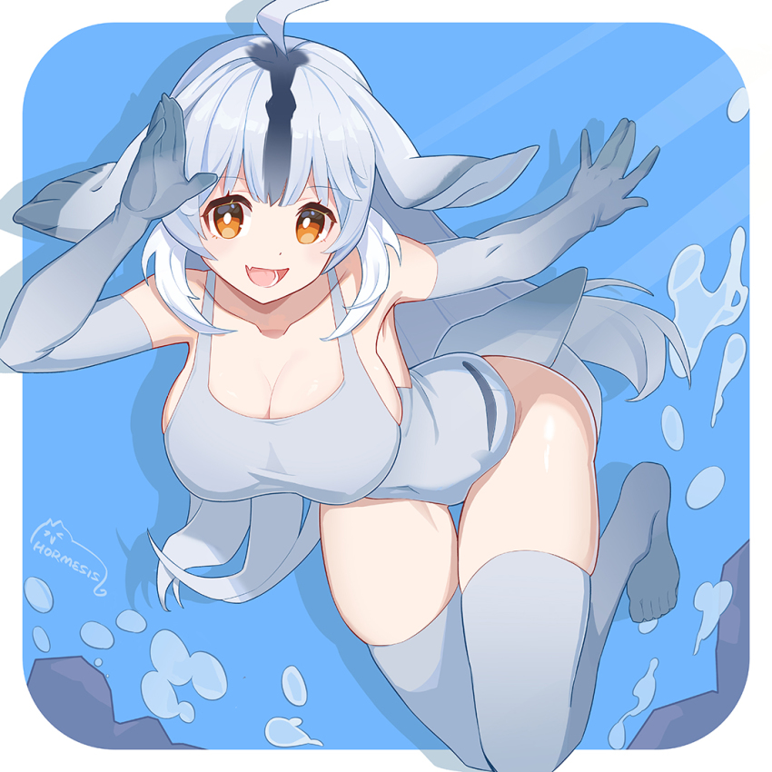 Bearded Seal (Kemono Friends) Rule 34 Image