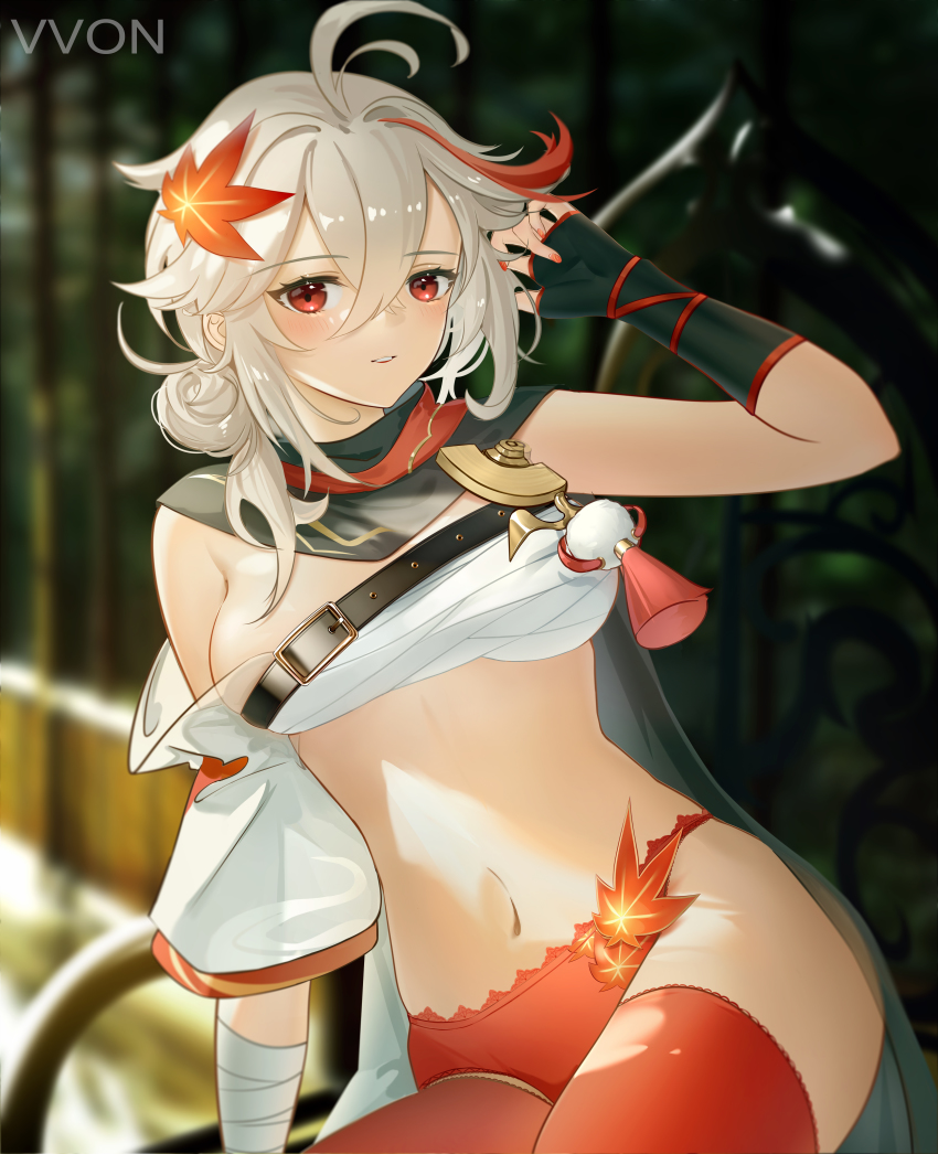Kaedehara Kazuha (Genshin Impact) Rule 34 Image
