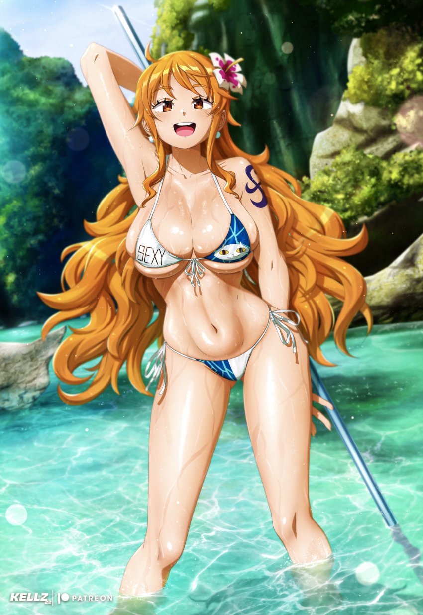 Nami (One Piece) Rule 34 Image
