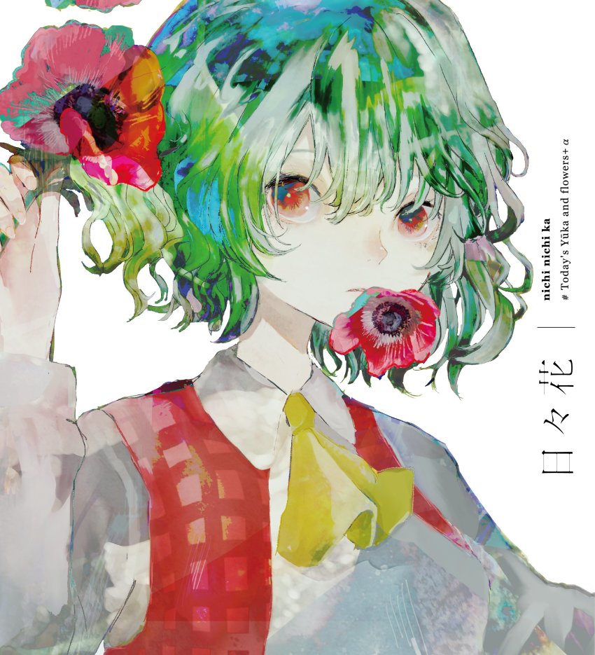 Kazami Yuuka (Touhou) Rule 34 Image