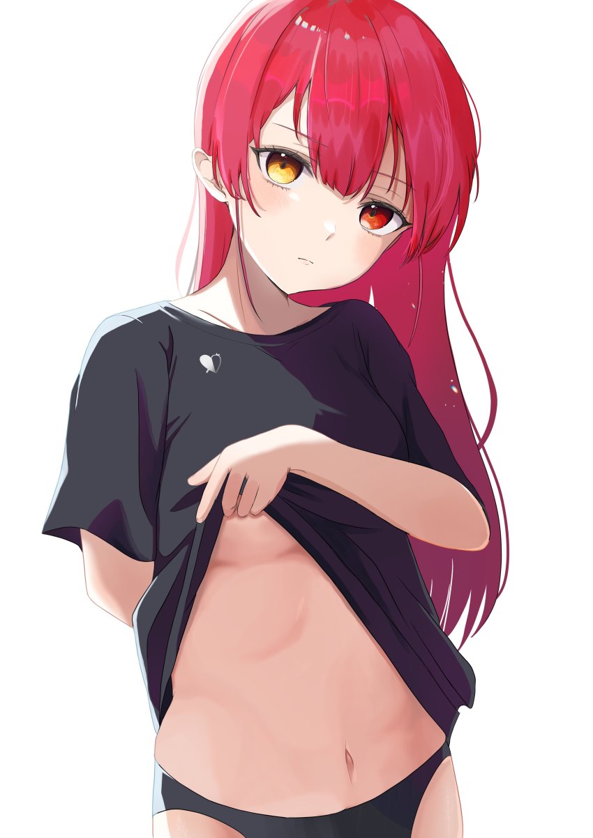 Houshou Marine (Hololive) Rule 34 Image