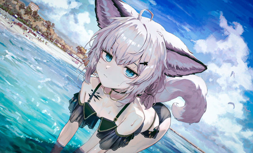 Oripathy Lesion (Arknights) Rule 34 Image