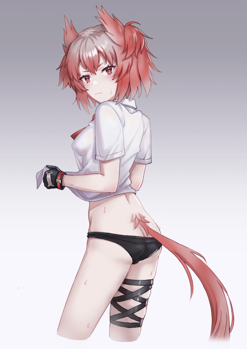Fiammetta (Arknights) Rule 34 Image