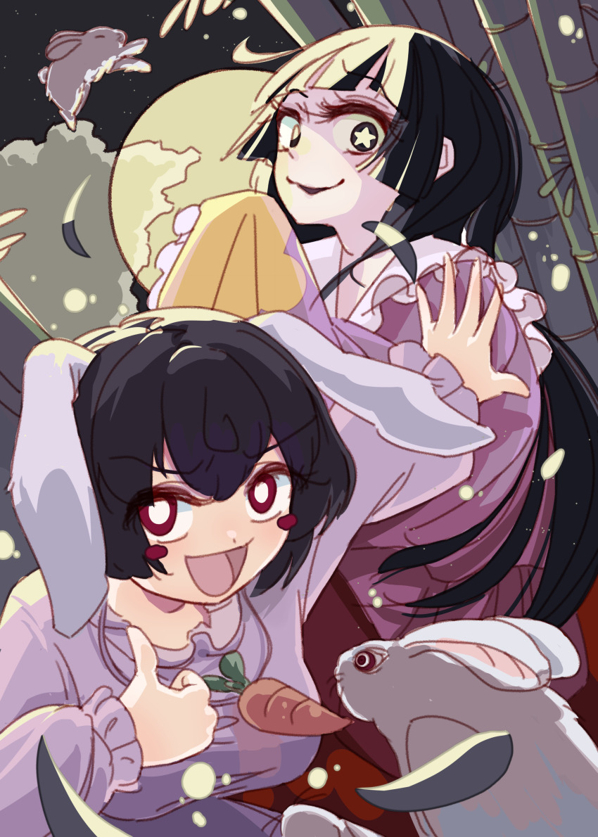 Houraisan Kaguya (Touhou) Rule 34 Image