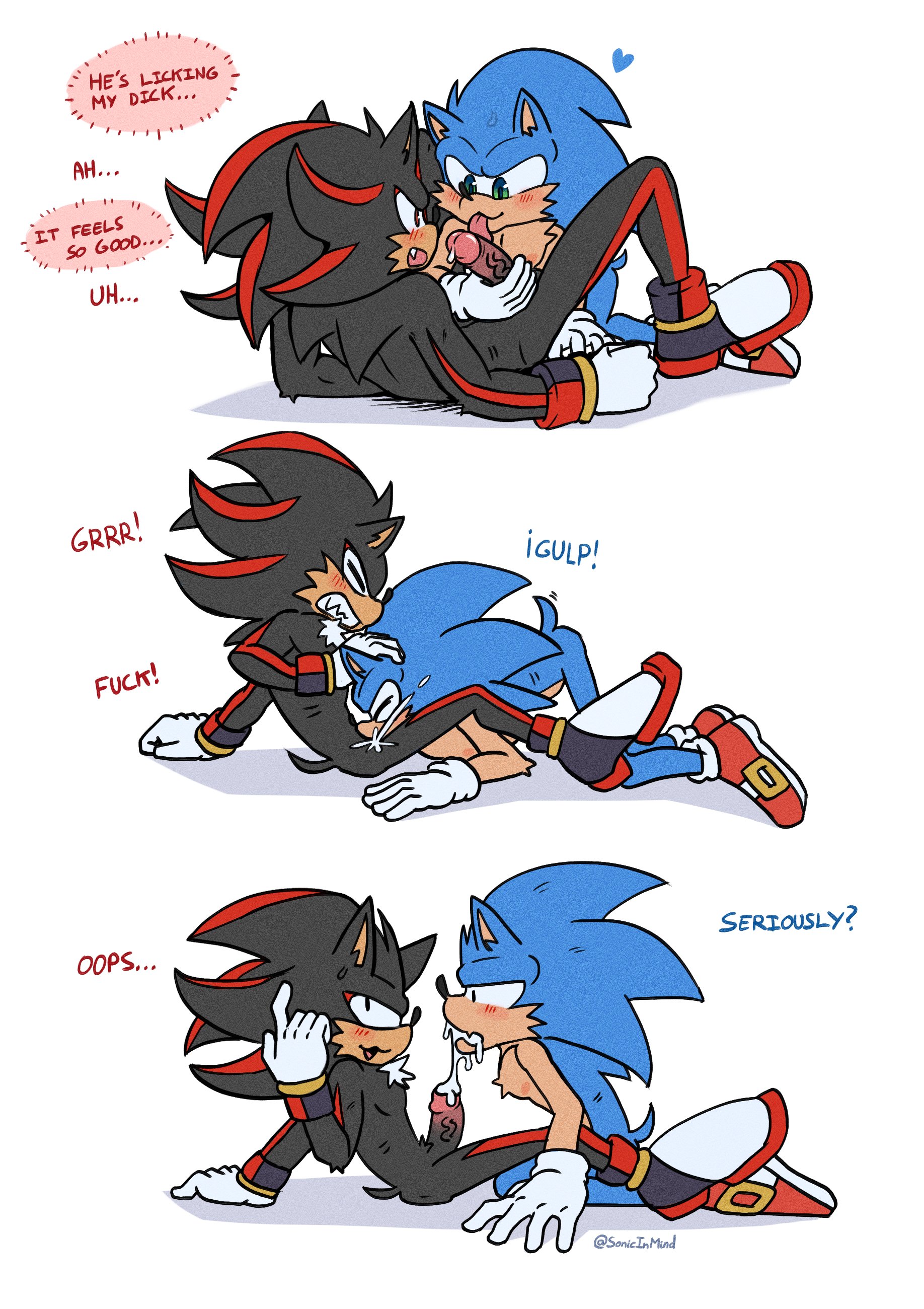 Shadow The Hedgehog Rule 34 Image