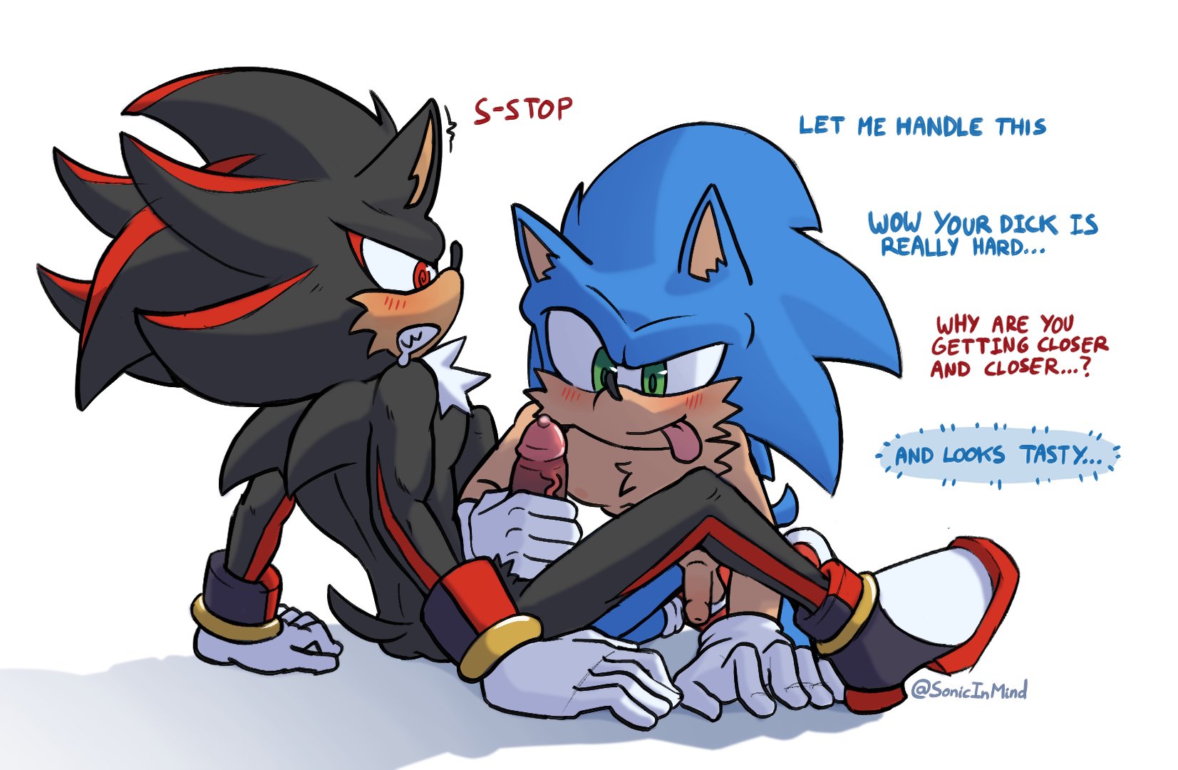 Shadow The Hedgehog (Sonic (Series)) Rule 34 Image