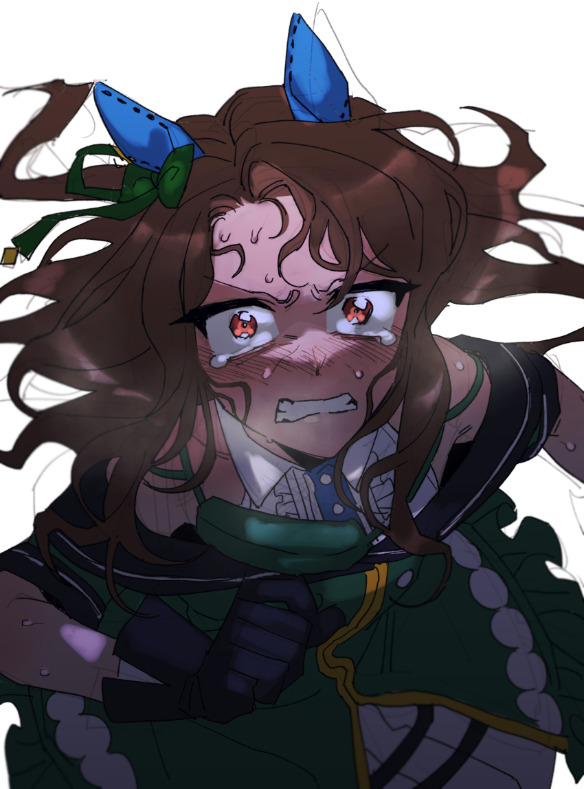 King Halo (Umamusume) Rule 34 Image